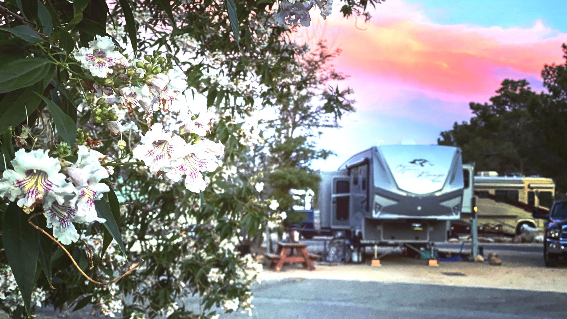 The image shows a campsite with an RV, flowering plants in the foreground, and a vibrant sunset in the sky.