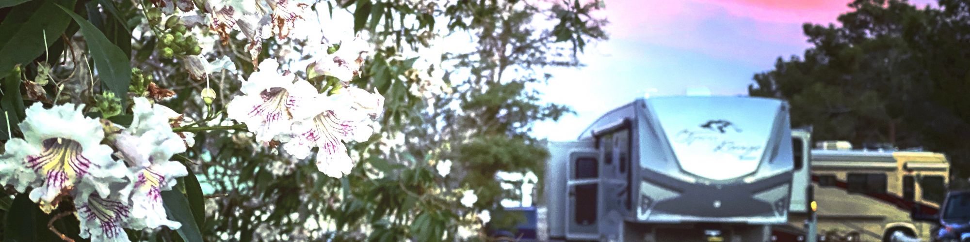 The image shows a campsite with an RV, flowering plants in the foreground, and a vibrant sunset in the sky.