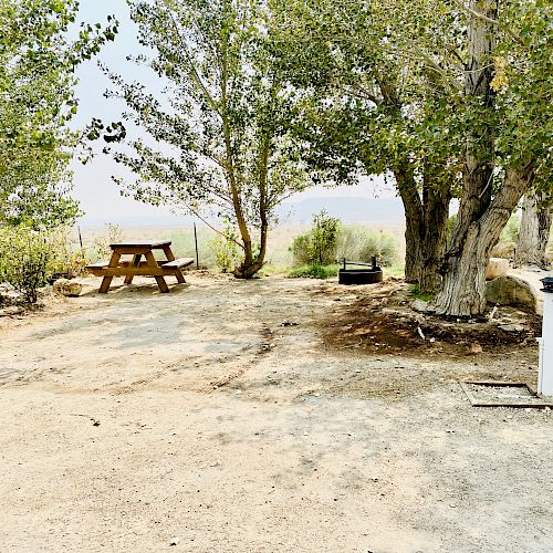 The image shows a rustic outdoor area with trees, a picnic table, fire pit, and a campsite marker labeled "1." The ground is sandy and there is sunlight.