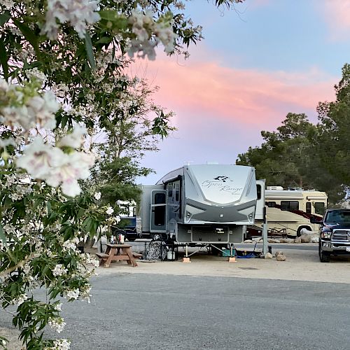 An RV and a pickup truck are parked at a campsite with blooming flowers and trees in the foreground and a colorful sky in the background.