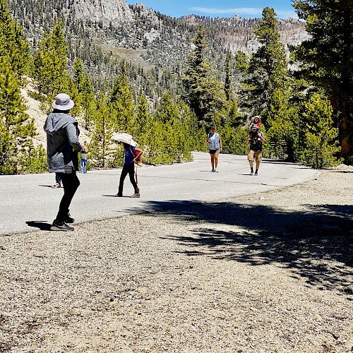 Four people walking on a paved road in a mountainous, forested area under a clear blue sky.