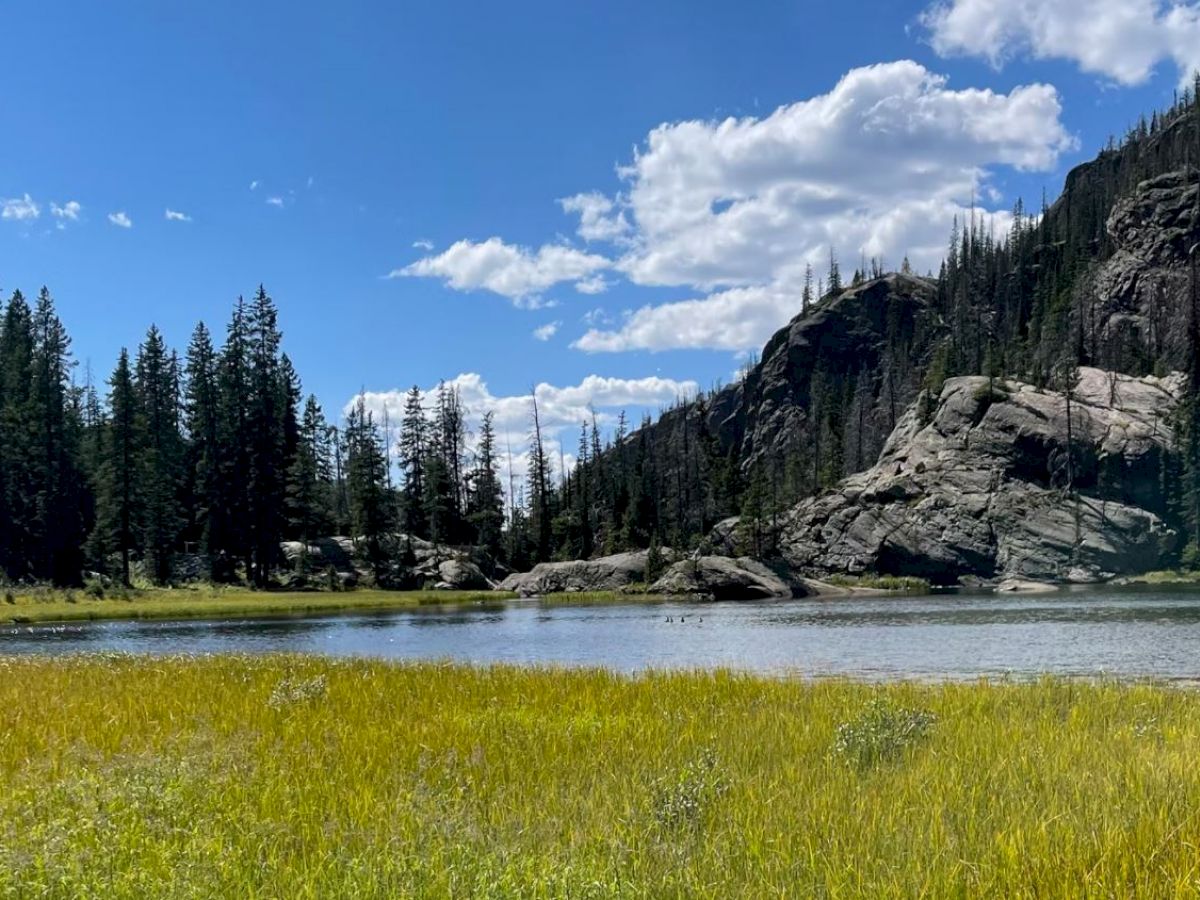 A scenic landscape with a calm lake surrounded by green meadows, pine trees, and rocky cliffs under a partly cloudy blue sky.