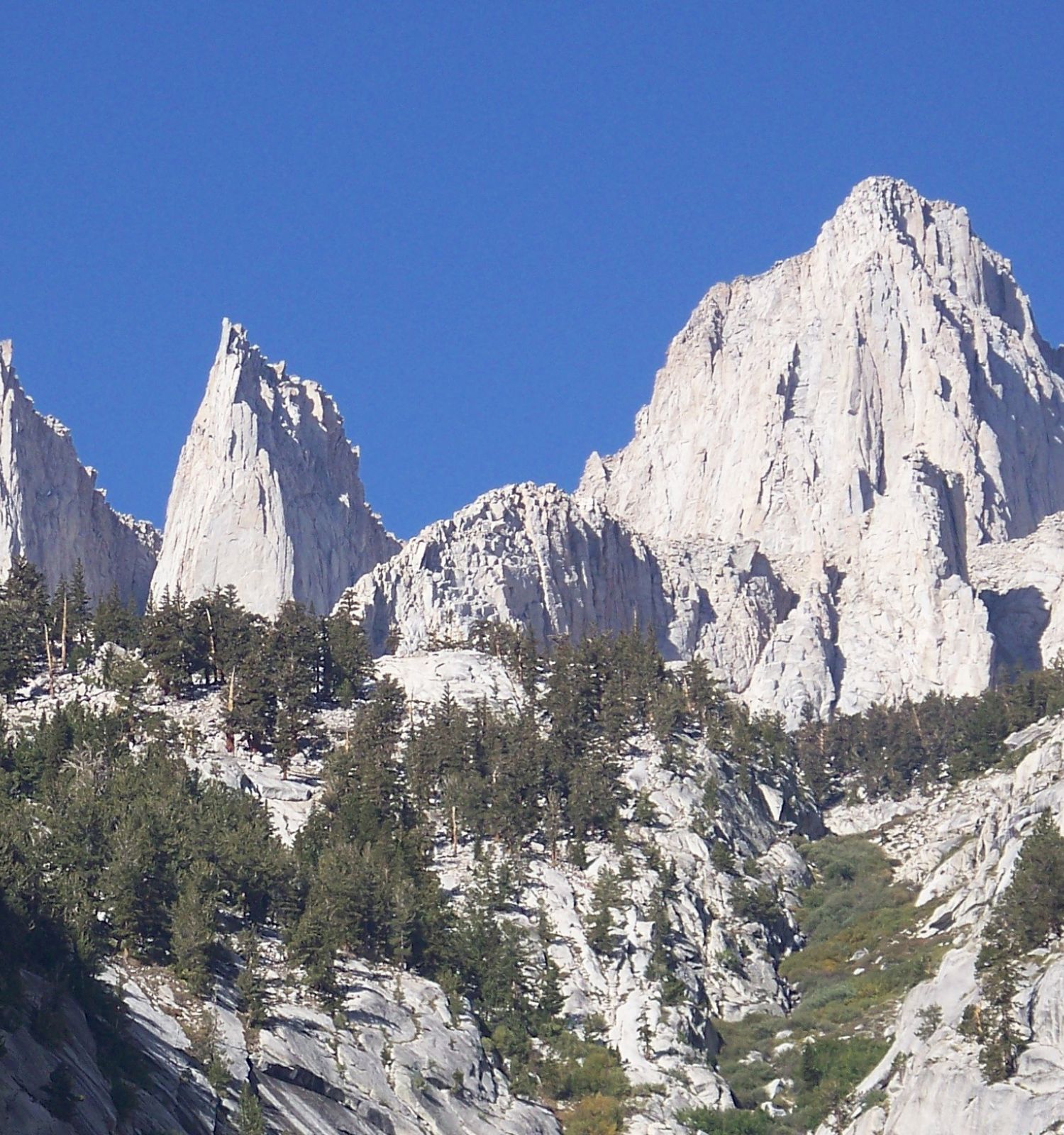 Snowy jagged peaks in a rocky mountain landscape under a clear blue sky, with pine trees scattered along the slopes.