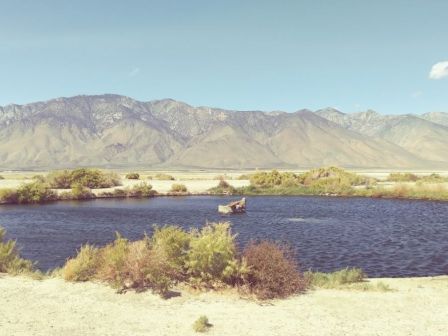 A serene lake surrounded by shrubs with mountains in the background under a clear sky can be seen in the image.