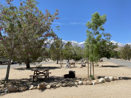 A sunny park with trees, picnic tables, a stone border, and distant mountains under a clear blue sky, perfect for outdoor picnics.