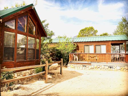 A rustic cabin-style lodge with wooden siding, large windows, a green metal roof, a stone foundation, and a wooden deck, set in a sunny outdoor area.