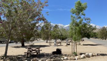 A scenic outdoor area features picnic tables, trees, and a clear sky, with mountains in the background. The ground is covered in dirt and rocks.