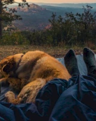 Two people and a dog are lying under a blanket, enjoying a scenic camping view with a tent and forested mountains in the background.