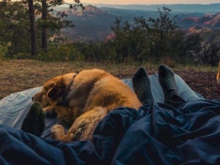 Two people and a dog are lying under a blanket, enjoying a scenic camping view with a tent and forested mountains in the background.