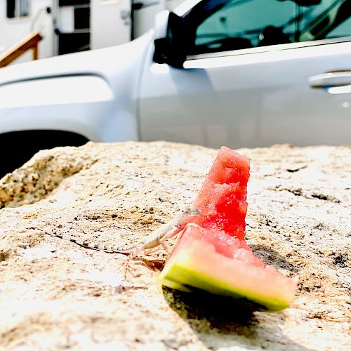 A slice of watermelon sits on a large rock, with part of a white vehicle visible in the background.