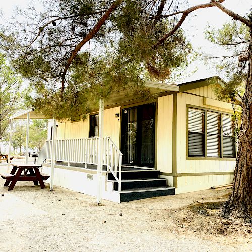 A small, yellow cabin with a front porch is nestled among tall trees, featuring a wooden picnic table and a gravel area surrounding it.
