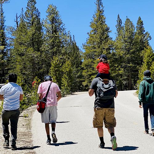 Four people are walking down a paved path surrounded by trees, with one person carrying a child on their shoulders.