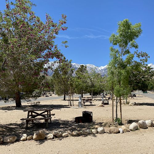 The image shows a campground with picnic tables, trees, and a clear blue sky. There are mountains in the background and a paved road.
