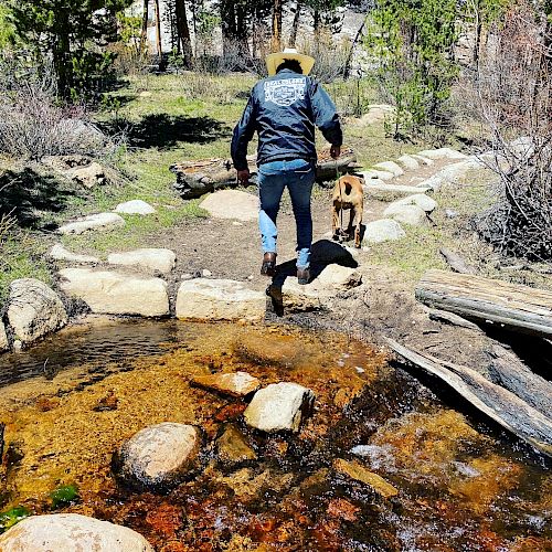 A person with a backpack walks over a rocky stream in a forested area with a dog following behind.