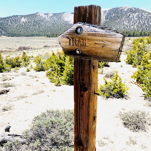 A wooden trail sign pointing right stands in a sandy area with bushes and mountains in the background, under a clear blue sky.