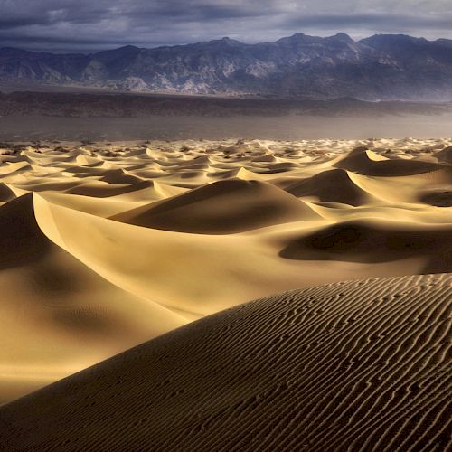 A vast desert with sand dunes under a cloudy sky, with mountains visible in the background.