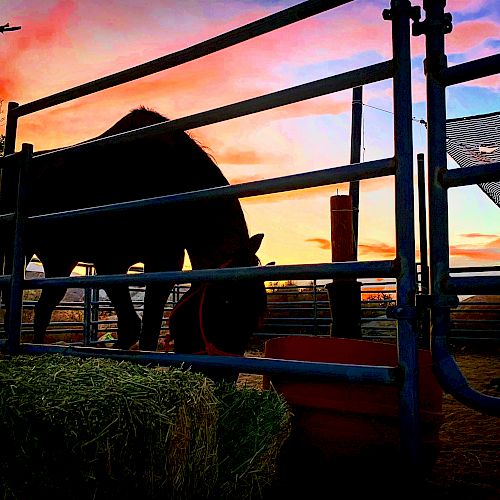 A horse is seen inside a fenced area, eating near a haystack during a picturesque sunset with vibrant colors in the sky.