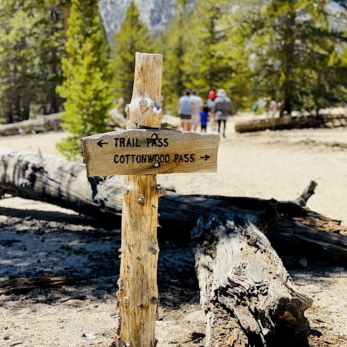A wooden trail sign reads "Trail Pass" and "Cottonwood Pass" in a forest. People are walking in the background, surrounded by trees and mountains.
