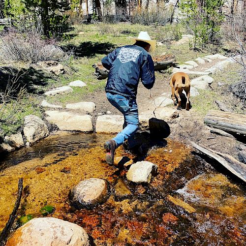 A person in a jacket and hat is crossing a small stream with a dog in a forested area with rocks and trees.
