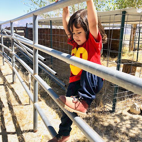A child wearing a red shirt is hanging onto a metal fence with both hands while trying to climb down; sunny, outdoor setting with trees and dirt.