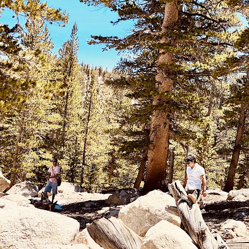 Two people are standing among large rocks and trees in a forested area under a clear blue sky.