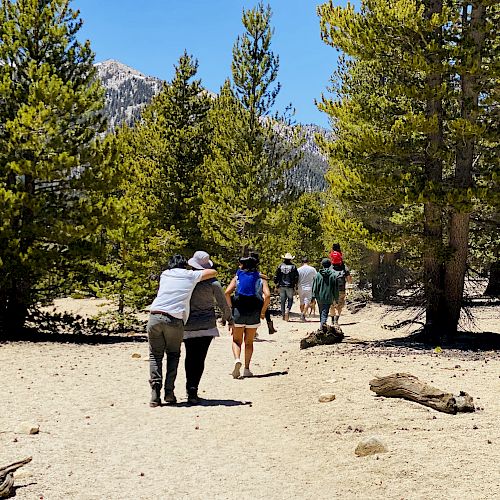 A group of people is hiking on a dirt trail surrounded by trees and mountains on a sunny day. Two in the foreground appear to be holding hands.
