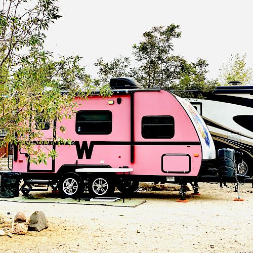 A campsite with a pink travel trailer marked with 'W' is seen parked beside a larger black and white RV, surrounded by trees.