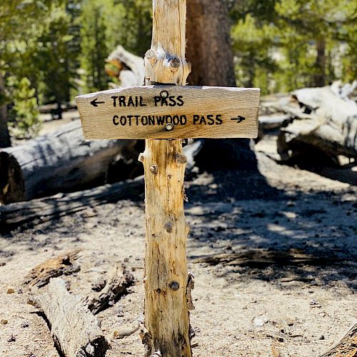 A weathered wooden signpost in a forest directs travelers to the Trail Pass (left) and Cottonwood Pass (right) with arrows indicating the way.