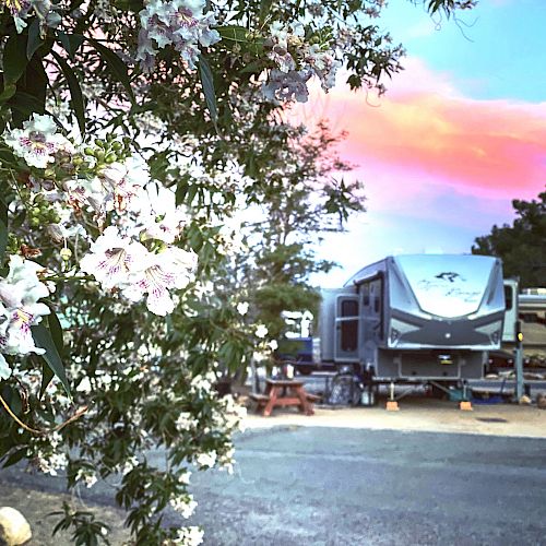 An RV parked in a campground surrounded by trees and flowers, with a colorful sunset sky in the background.