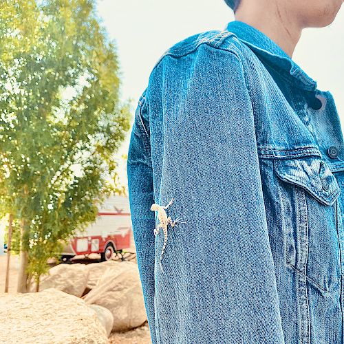 A person wearing a denim jacket outdoors with a small lizard on the sleeve, standing near rocks and a tree, with a blurred background.