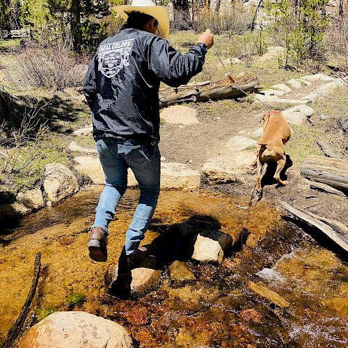 A person in jeans and a jacket, wearing a hat, is stepping on rocks to cross a stream, while a brown dog is ahead, leaping across.