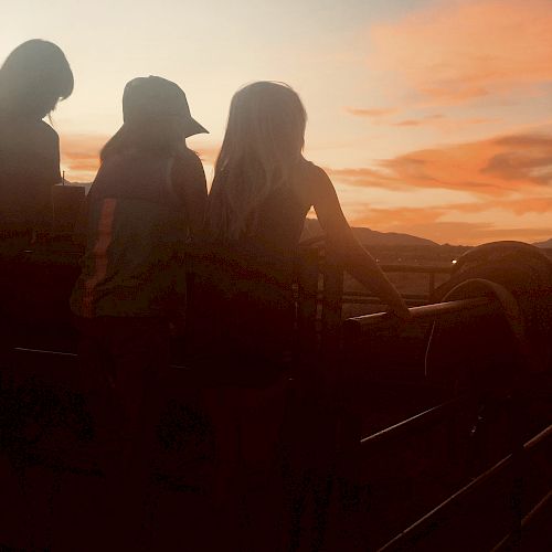 Three people stand together, silhouetted against a vibrant sunset sky, next to a railing or fence outdoors.