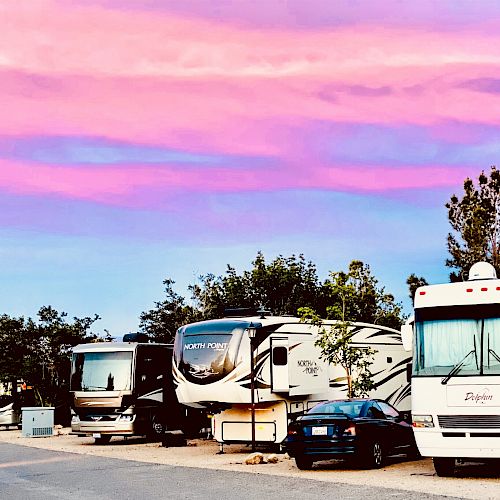 RVs are parked in a scenic area with trees and a vibrant pink and purple sunset sky in the background.