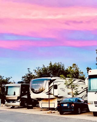 Several RVs parked side by side under a vibrant pink and purple sunset sky, with trees in the background.